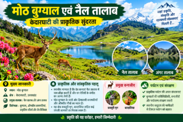 मोठ बुग्याल एवं नैल तालाब केदारघाटी
